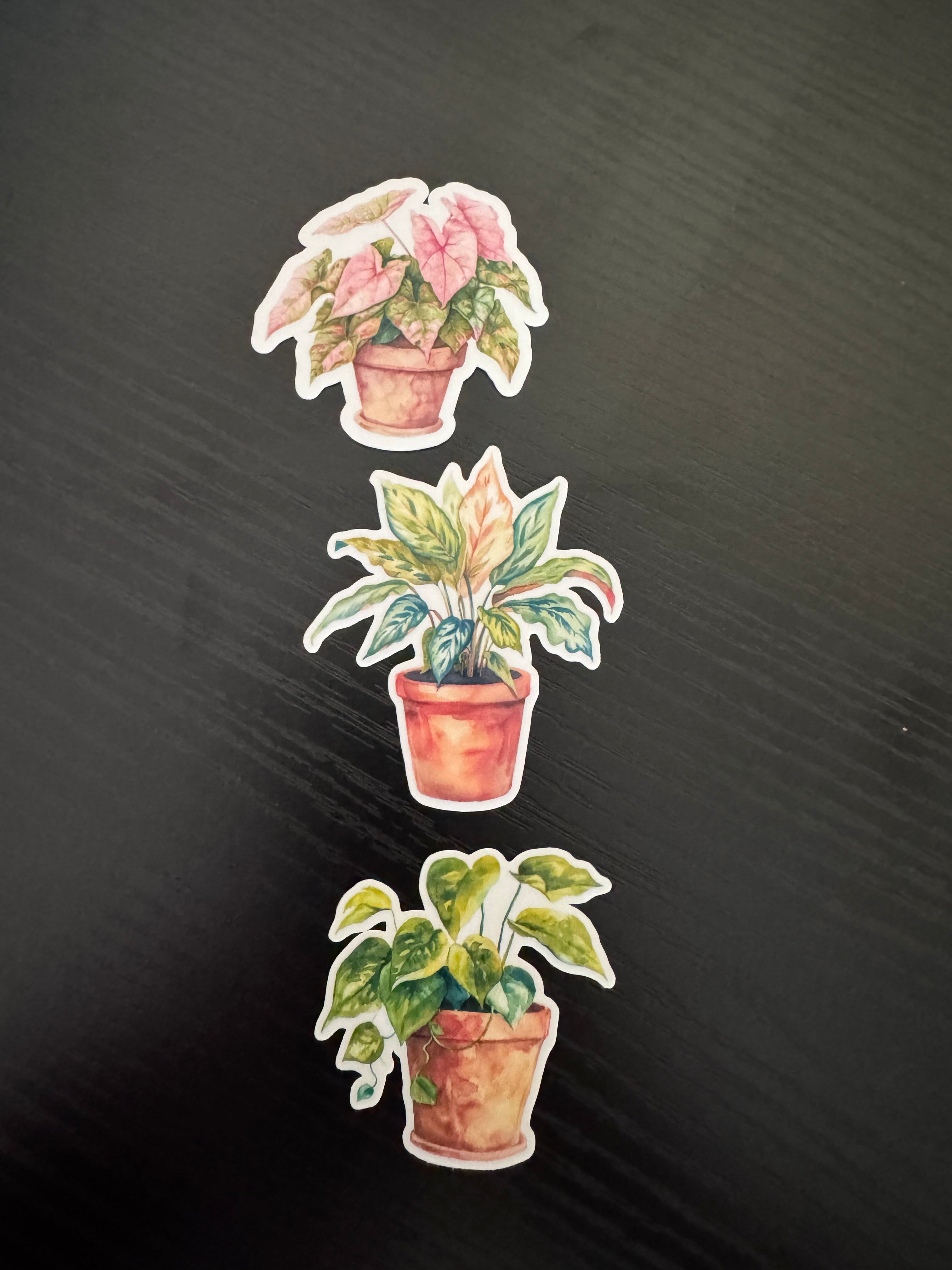 2" Watercolor Plant Sticker Pack